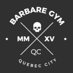 Barbare Gym 24h logo