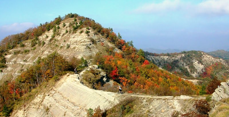 DSCF0584.JPG