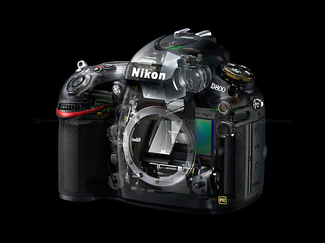 Nikon D800/D800E New Features Explained | New Zealand Wedding Photographer  | Kent Yu Photography