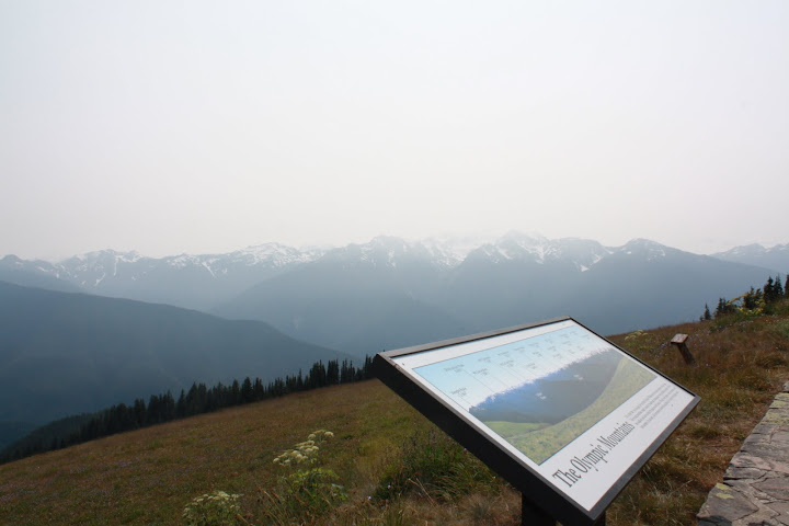 Hurricane Ridge in Olympic National Park