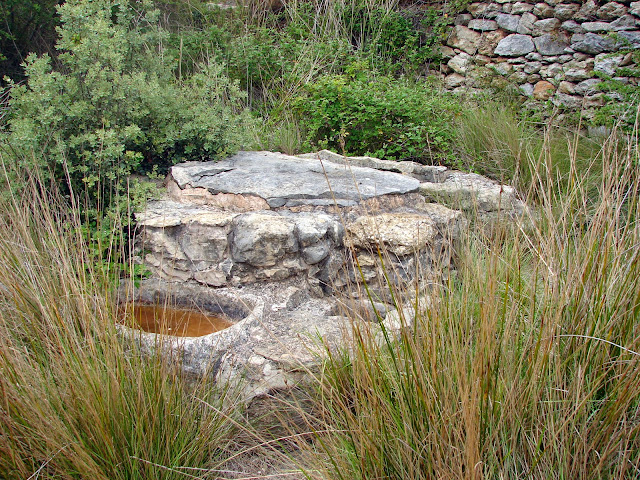 Snederismo Valltorta