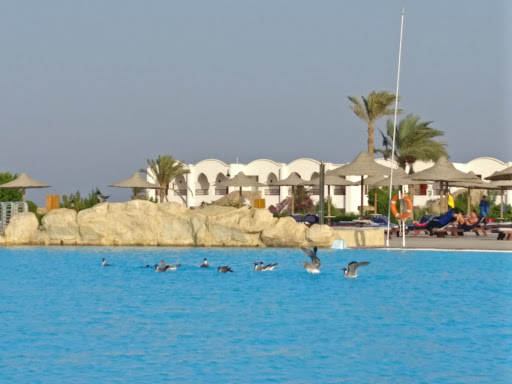 Gorgonia Beach Resort