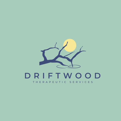 Driftwood Therapeutic Services