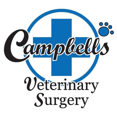 Campbells Veterinary Surgery - Brynhyfryd