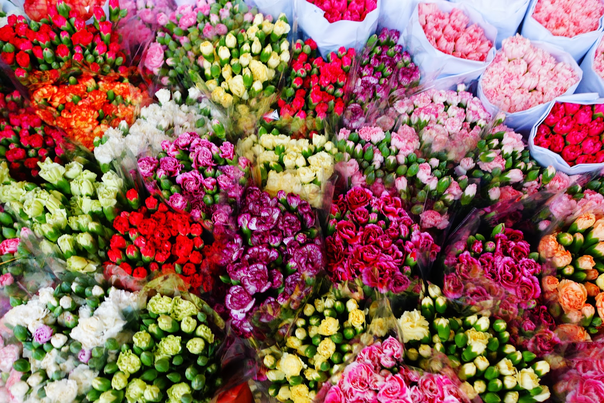dontplayahate: Hong Kong Flower and Bird Market