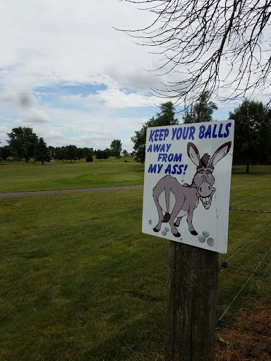Public Golf Course «Wildcat Golf Course», reviews and photos, 100 Wildcat Trail, Shellsburg, IA 52332, USA