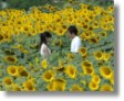 20051029_movie_ima_aini_yukumasu.jpg