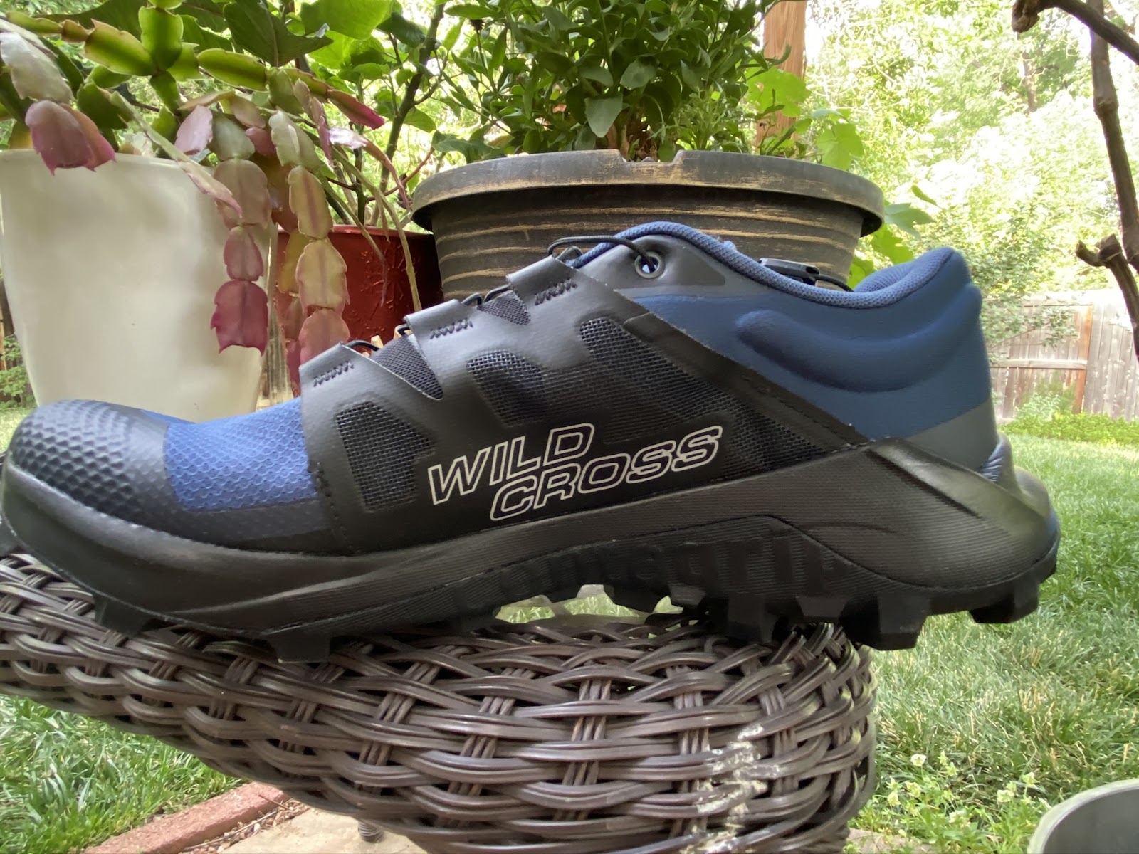 Road Trail Run: Salomon Wildcross Review