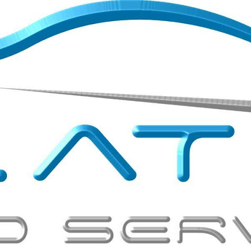 Platin Oto Servis logo