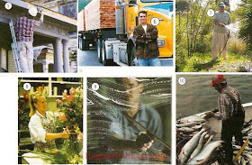 Jobs - work/ occupations - Picture Dictionary