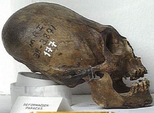 900 Year Old Alien Skull Found Image
