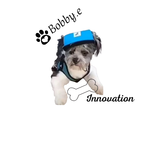 Bobby.e innovacion