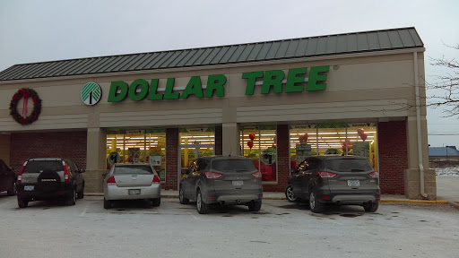 Dollar Store «Dollar Tree», reviews and photos, 8491 Grand River Ave, Brighton, MI 48116, USA