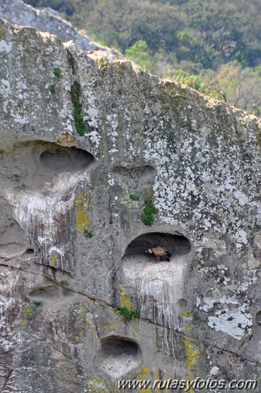 Cueva del Pajarraco
