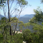 Looking down at the Lady Darley Lookout (16942)