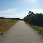 Foot path near Green Point Drive on Lake Macquarie (404047)