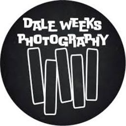 Dale Weeks Photo 9