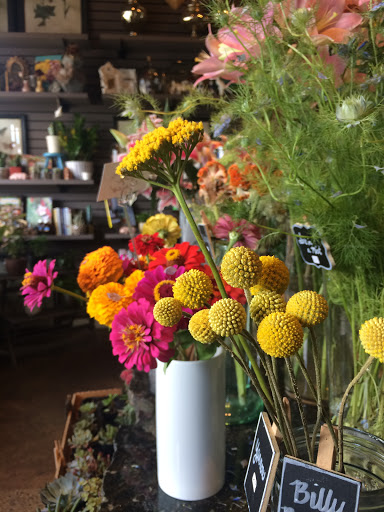 Florist «The Corner Market», reviews and photos, 3426 Greenville Ave, Dallas, TX 75206, USA