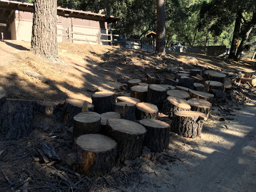 Stable «Adams Pack Station», reviews and photos, Chantry Flat Rd, Arcadia, CA 91006, USA