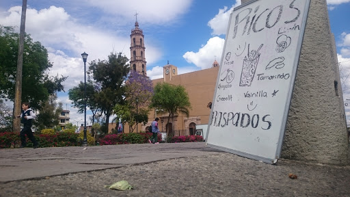 Parroquía San Miguel, Boulevard Torres Landa 502, San Miguel, 37460 León, Gto., México, Iglesia | GTO