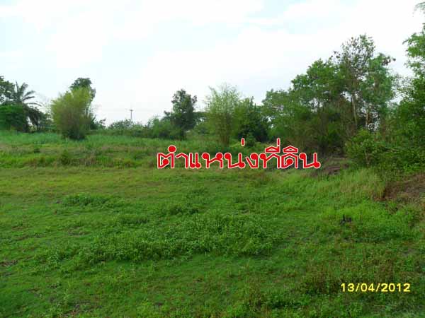 Land in Udon for sale:ขายที่ดินอุดรธานี