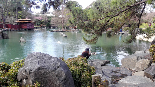 Lake Parramatta