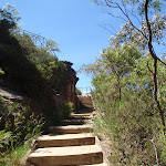 Prince henry Cliff walk track between Allambie and Lady Darley lookouts (92398)