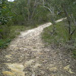 Track to Nerang Viewpoint (27536)