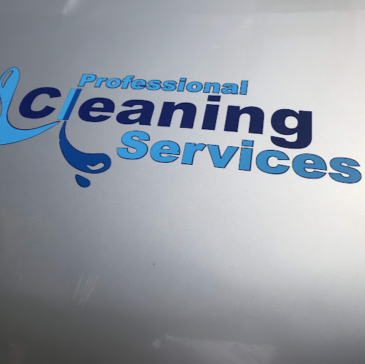 Professional Cleaning Services