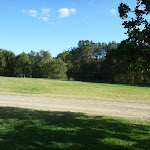 Plenty of open space at Melaleuca camping ground