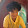 shawn cheng shawn cheng's profile photo
