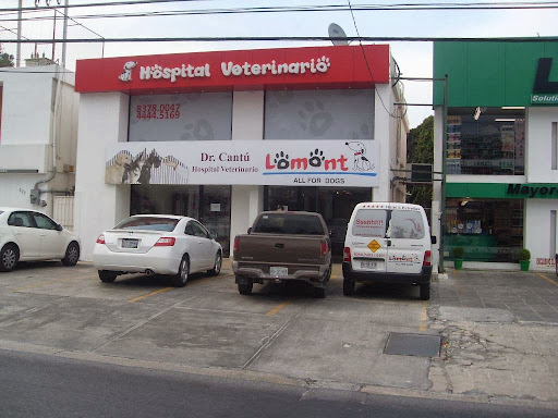 Lomont, José Vasconcelos Oriente 229, Del Valle, 66220 San Pedro Garza García, N.L., México, Hospital veterinario | NL