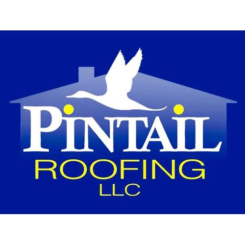 Pintail Roofing