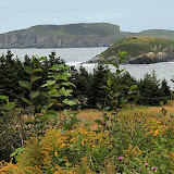 Rugged Coastline -- Newfoundland, Canada