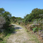 Coastal Cemetary Trail near Botany Bay National Park (310475)