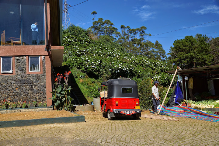 Шри-Ланка: на машине 1 100 км,  фото без комментариев, март-апрель 2013г.
