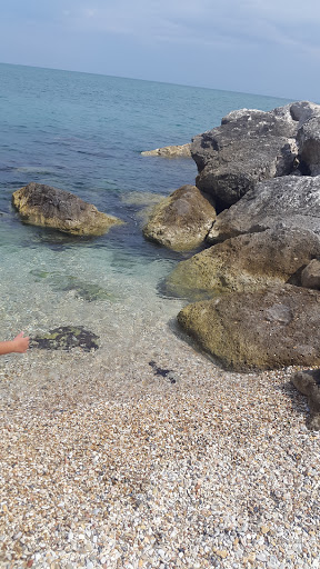 Beach of Numana Alta