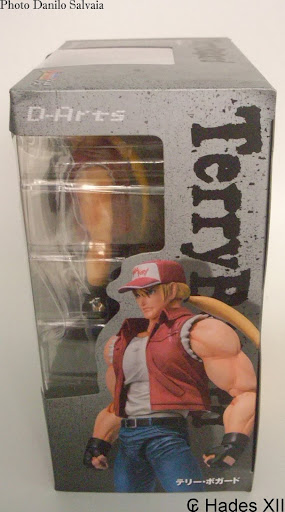 [REVIEW] The King Of Fighters 94 - Terry Bogard D-arts -  by Hades XII DSCI9766