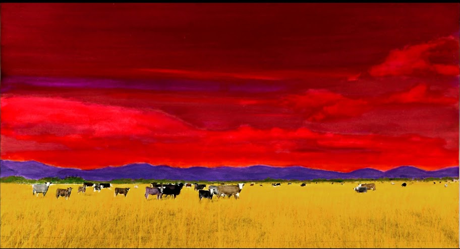 Idaho Cows, © Ellie Diez-Massaro