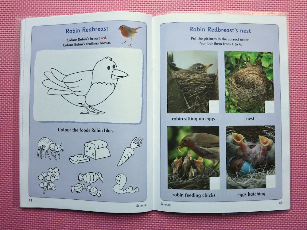  Как выглядят ирландские учебники. Junior Infants 