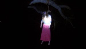 The Bell Witch Haunting