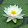 joan chen joan chen's profile photo