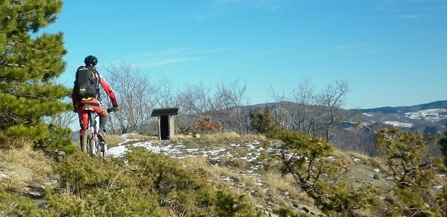 P1000888.JPG