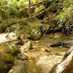 Creek crossing north of Berowra Creek campsite (329384)