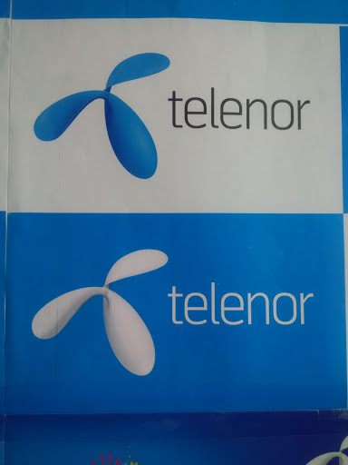 telenor store, Sambhal Rd, Karula, Moradabad, Uttar Pradesh 244001, India, Telecommunications_Contractor, state UP