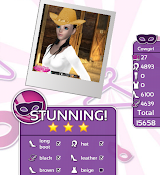 Fashion Party Dress Up Level 11 - Cowgirl - Anne - Stunning! Three Stars