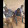 Samson Victor Samson Victor's profile photo
