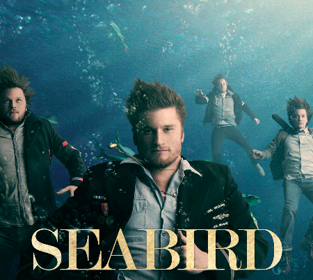 Seabird: Rescue