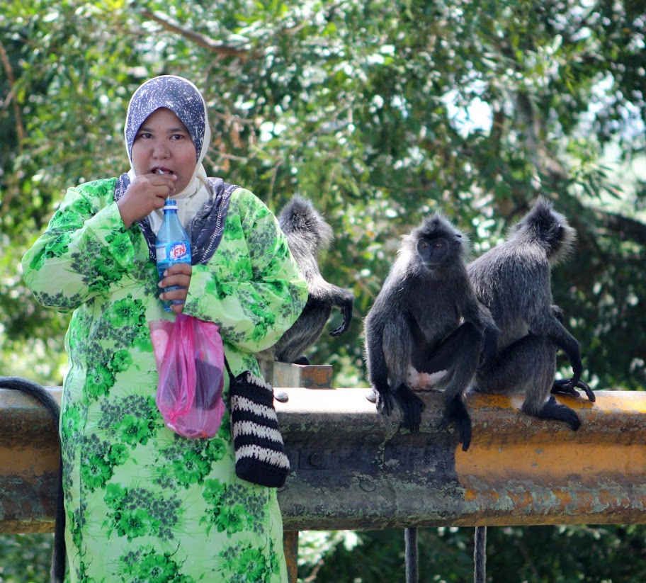 Малайзия. Острова, нац. парки, события и просто хорошие места.