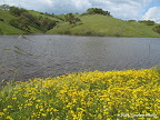 Dinosaur Lake
